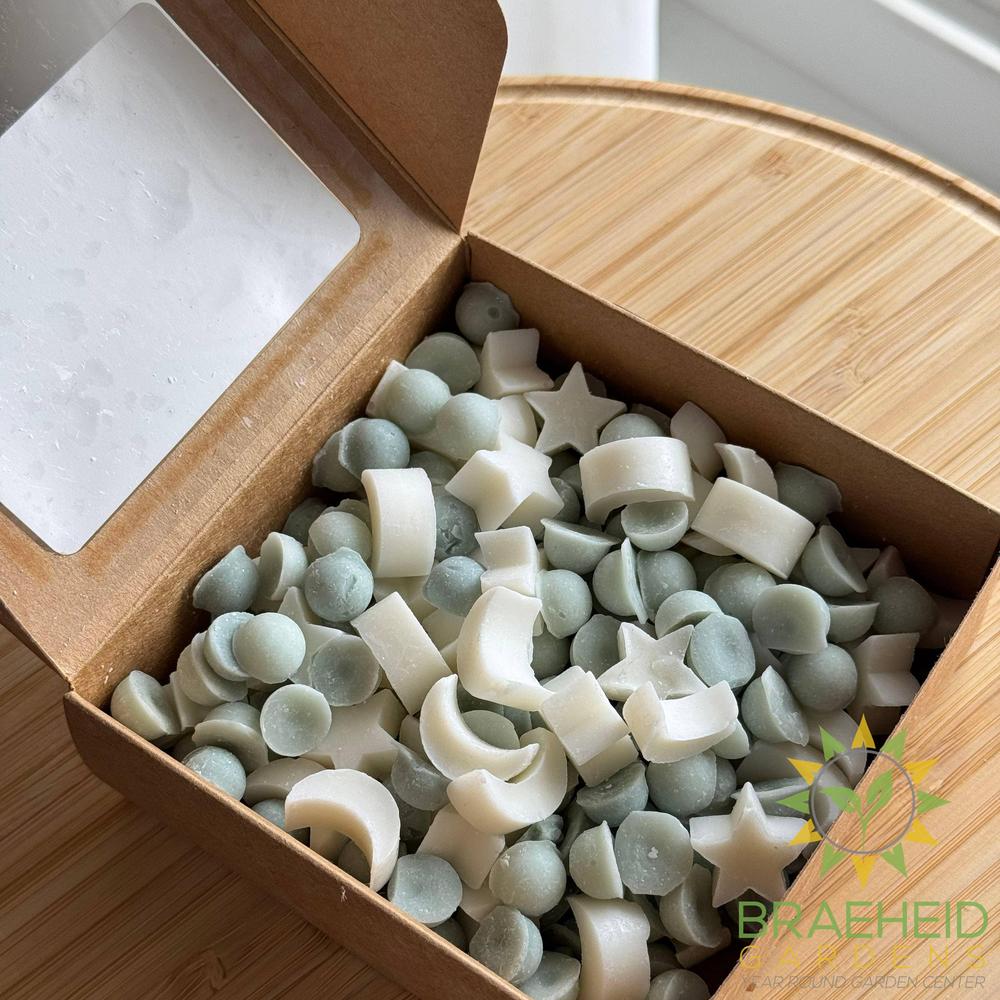 Spring Witch — Lemon Coconut Vanilla Wax Melt Scoops