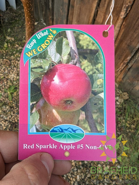 Red Sparkle Apple- Tree for sale, Grown in Grande Prairie -Braeheid Gardens Ltd. on Emerson Trail