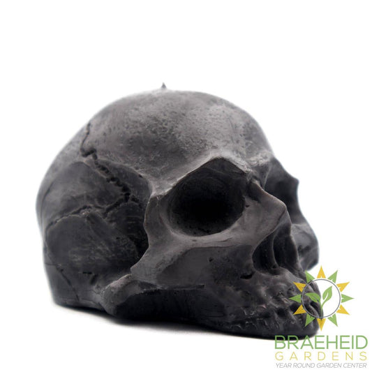 Half Skull | Pillar Candle
