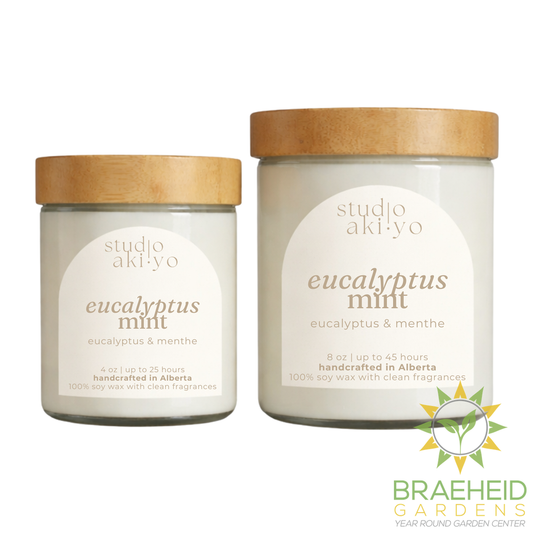 Eucalyptus Mint Soy Candle | Clean Calm Scent | Hygge Home