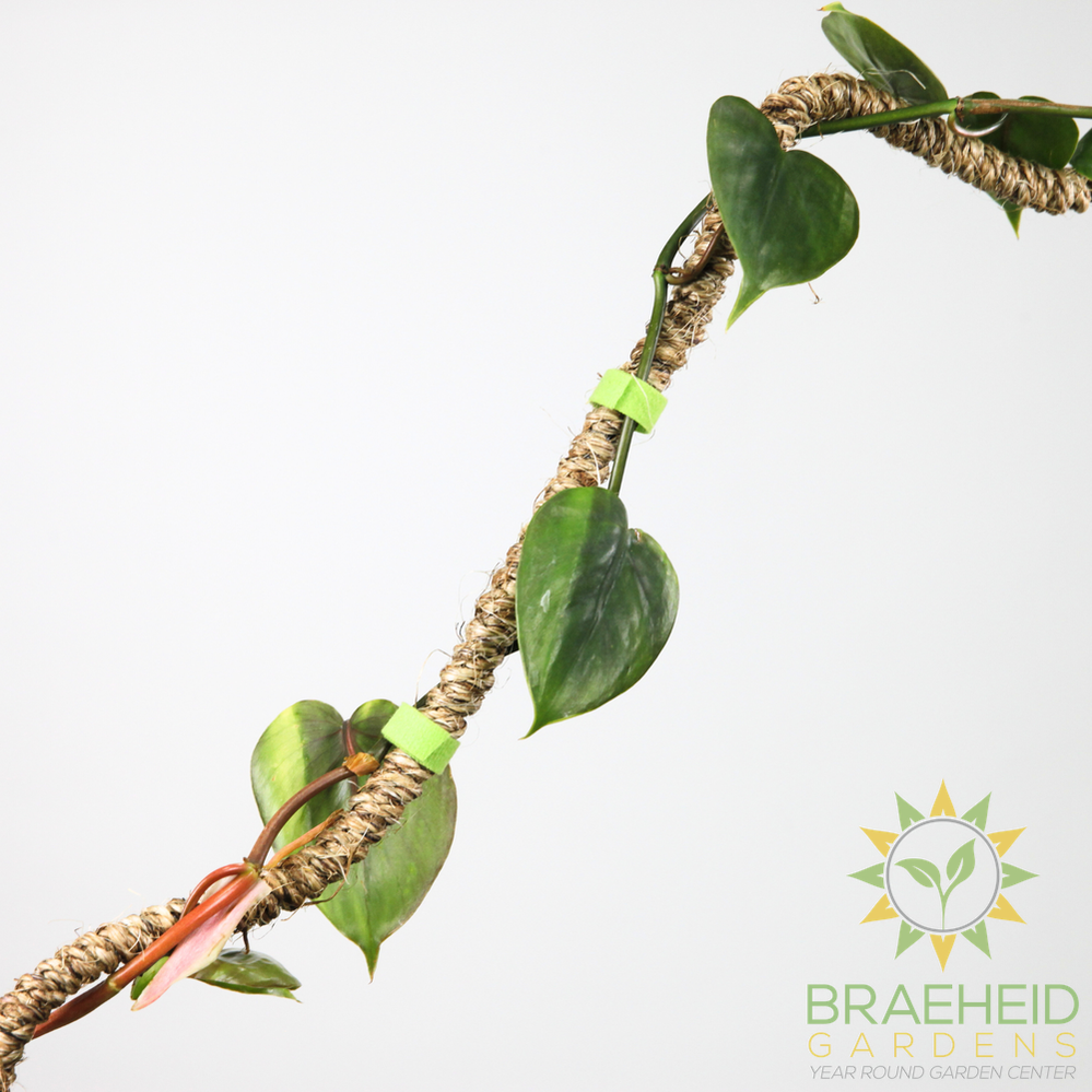 Reusable Plant Tape