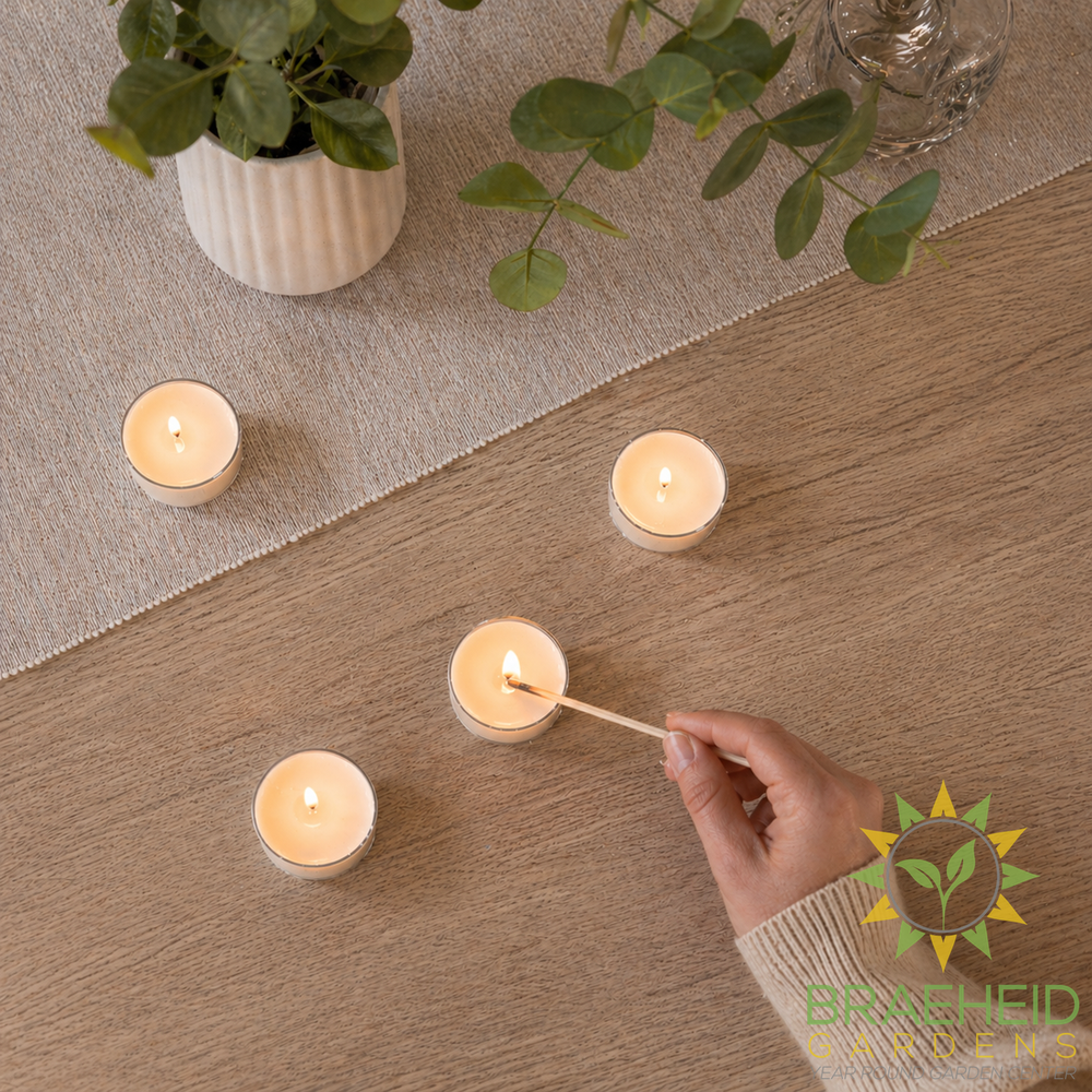 Pumpkin Chai Soy Tealight Candle Box | Fall Autumn Scent
