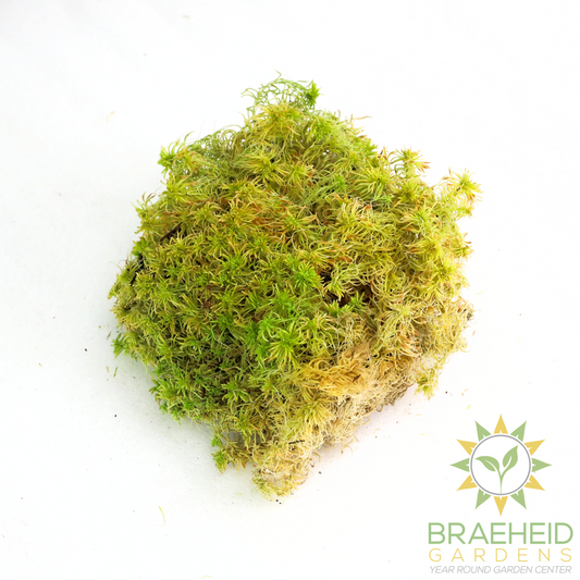 Natural Canadian Sphagnum Moss - Revita-Moss