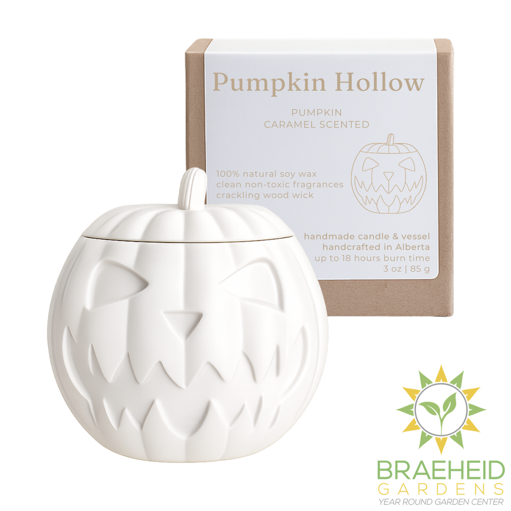 Pumpkin Hollow Soy Candle Pumpkin Caramel | Fall Autumn