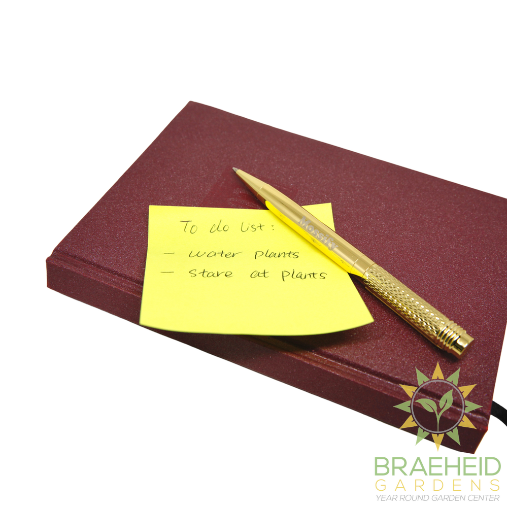 Premium Gold Mossify Pen