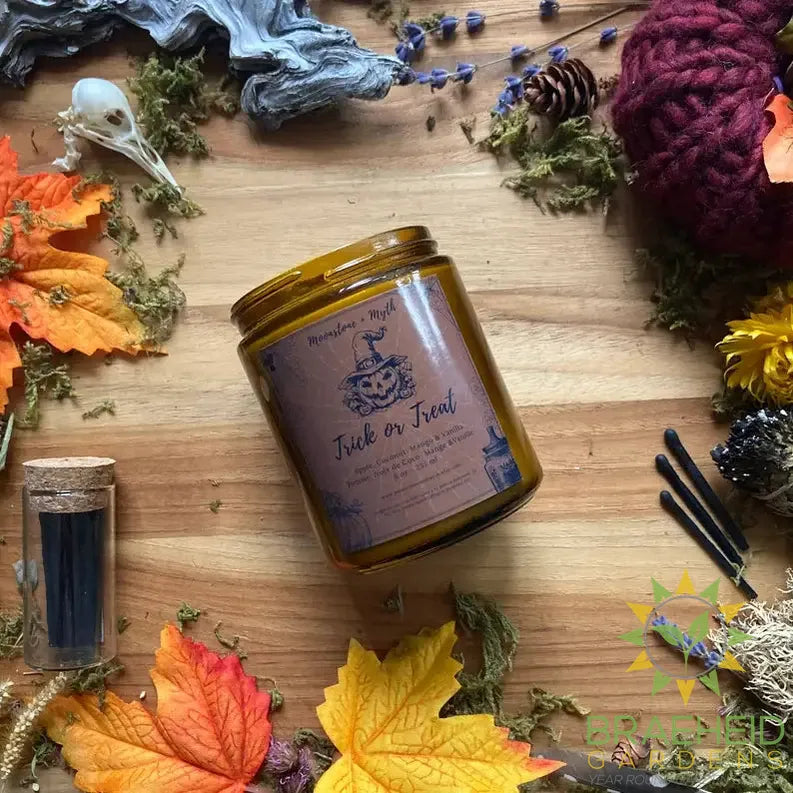 Trick or Treat, 100% soy wax scented candle