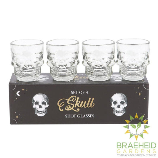 4PC Skull Shot Glass Set