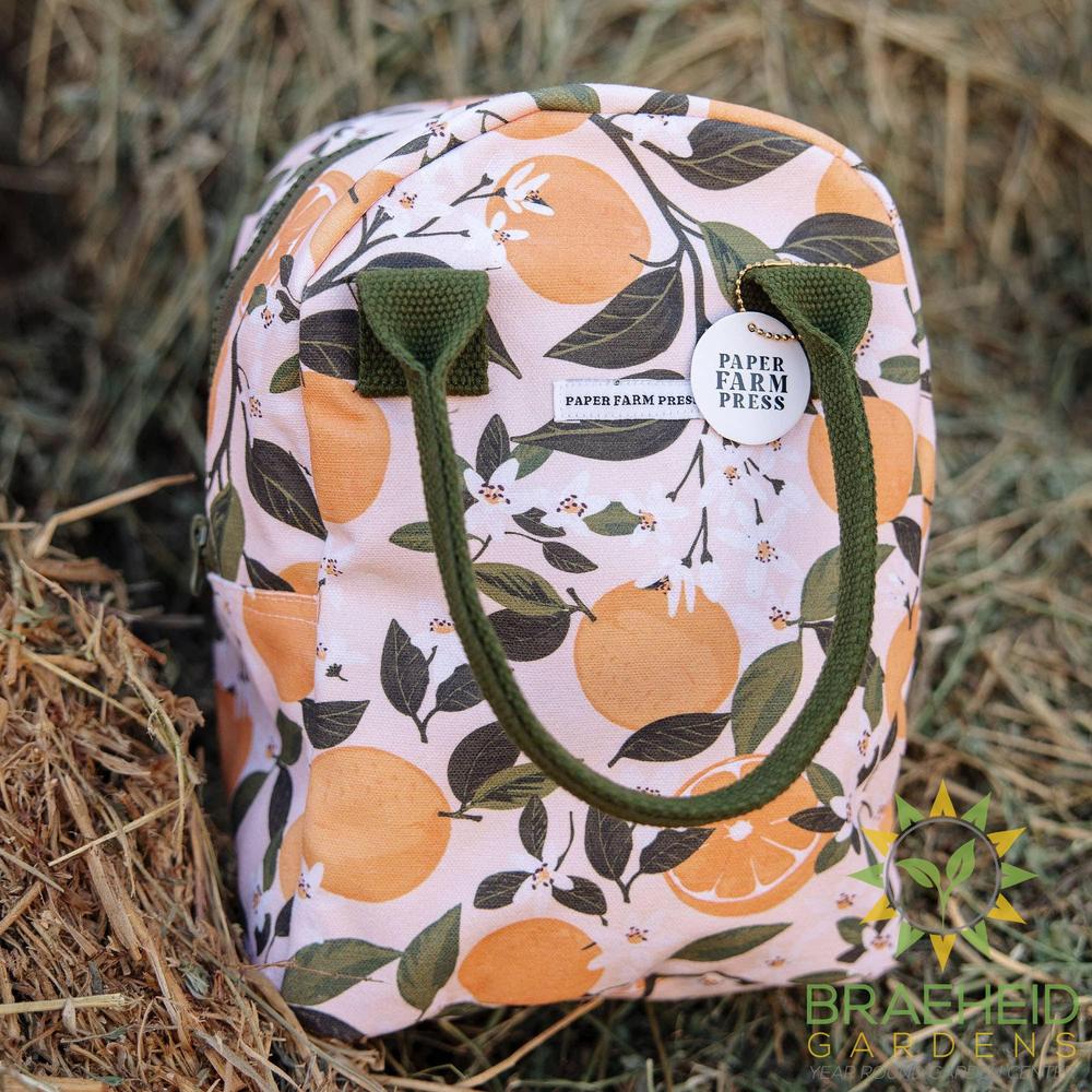 Orange Orchard Lunch Box