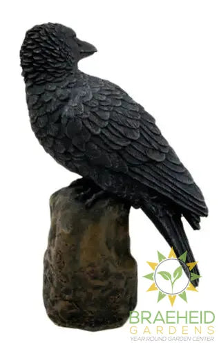 Raven Halloween Decoration C/24