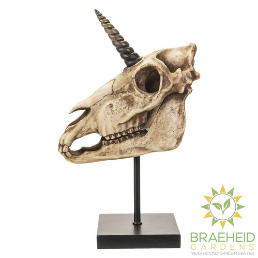 Unicorn Skull on Stand
