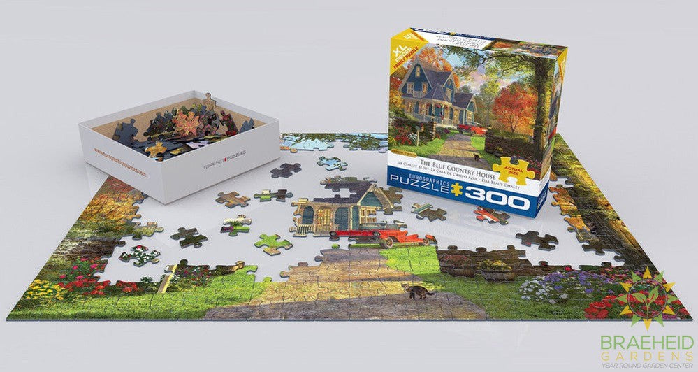 The Blue Country House Puzzle