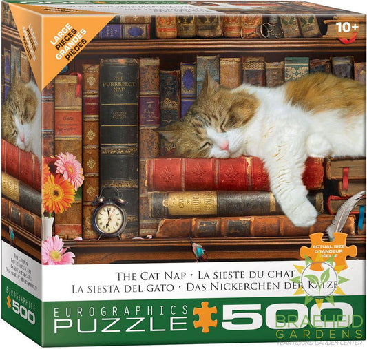 The Cat Nap Puzzle