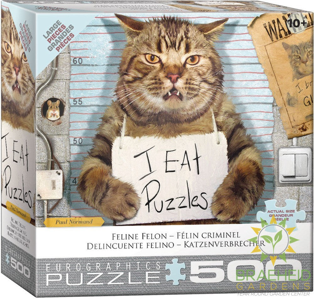 Felony Cat Puzzle