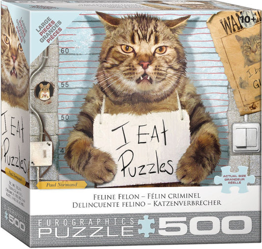 Felony Cat Puzzle