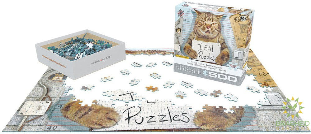 Felony Cat Puzzle