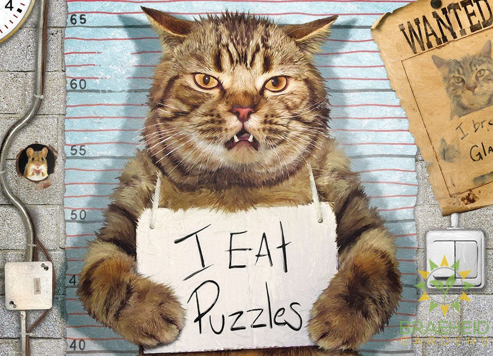 Felony Cat Puzzle