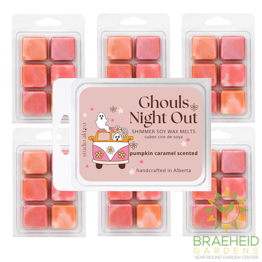 Pumpkin Caramel Ghouls Night Out Soy Wax Melt | Summerween