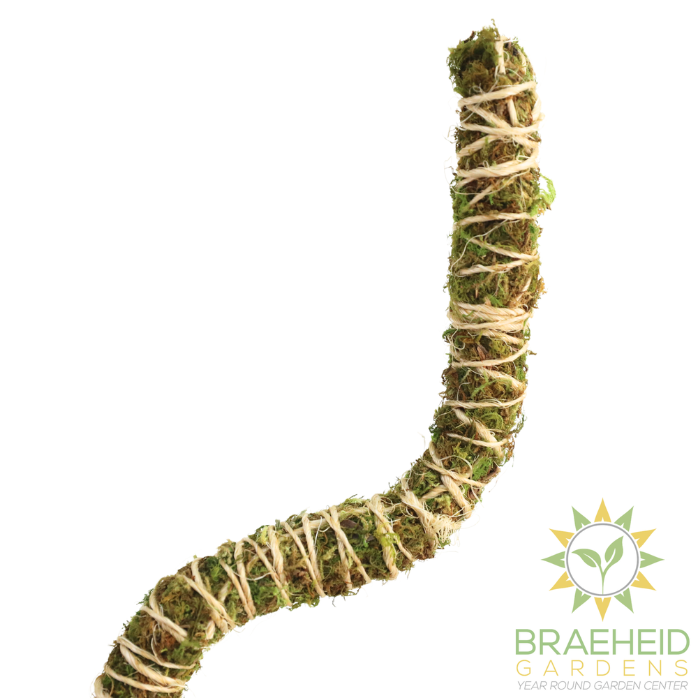 The Bendable Moss Pole™ 𝘛𝘏𝘐𝘕