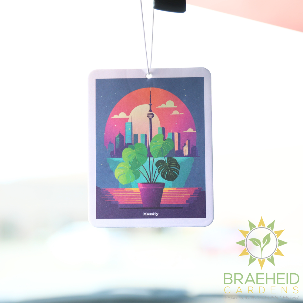 Mossify Air Fresheners