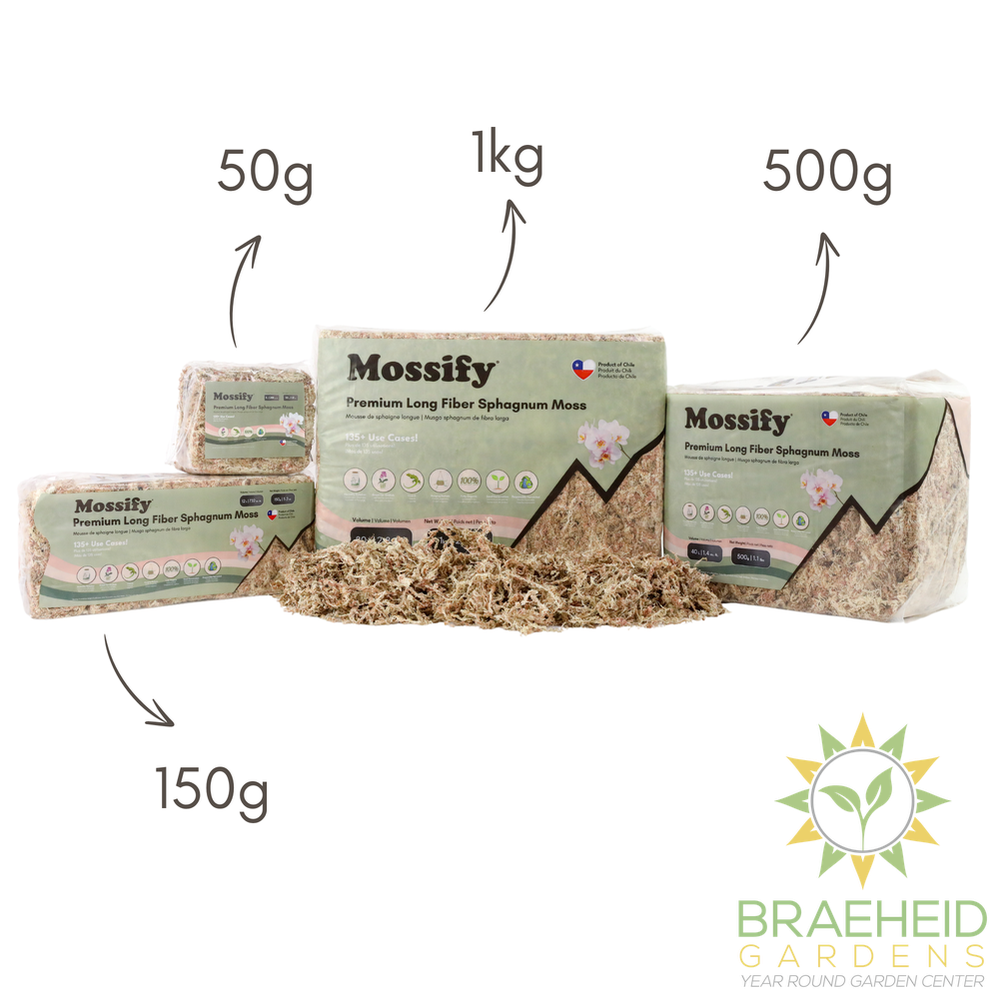 Premium Sphagnum Moss