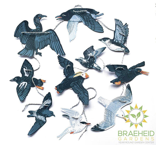 Pacific Northwest Sea Birds Paper Garland