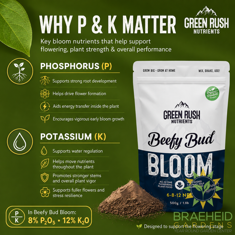 Beefy Bud Bloom Flowering Stage Plant Nutrients | All In One Plant Nutrients for Indoor & Outdoor Use