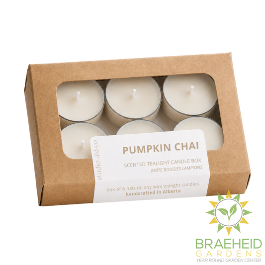 Pumpkin Chai Soy Tealight Candle Box | Fall Autumn Scent