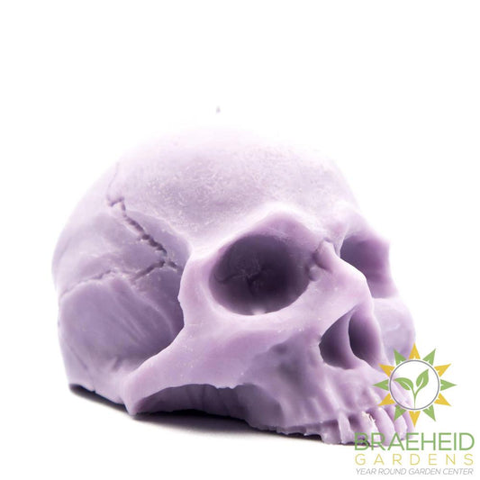 Half Skull | Pillar Candle