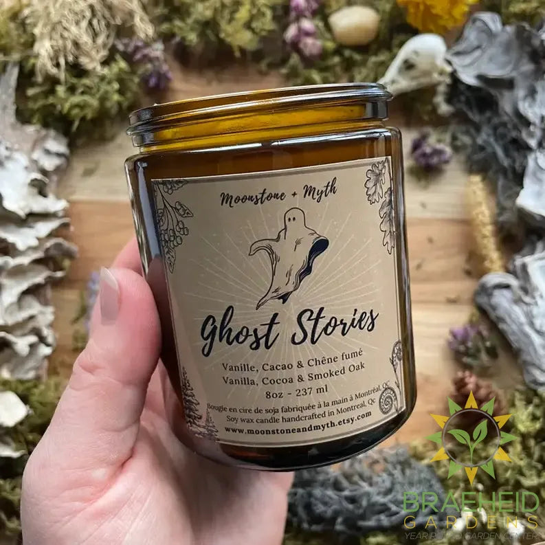 Ghost Stories, 100% soy wax scented candle