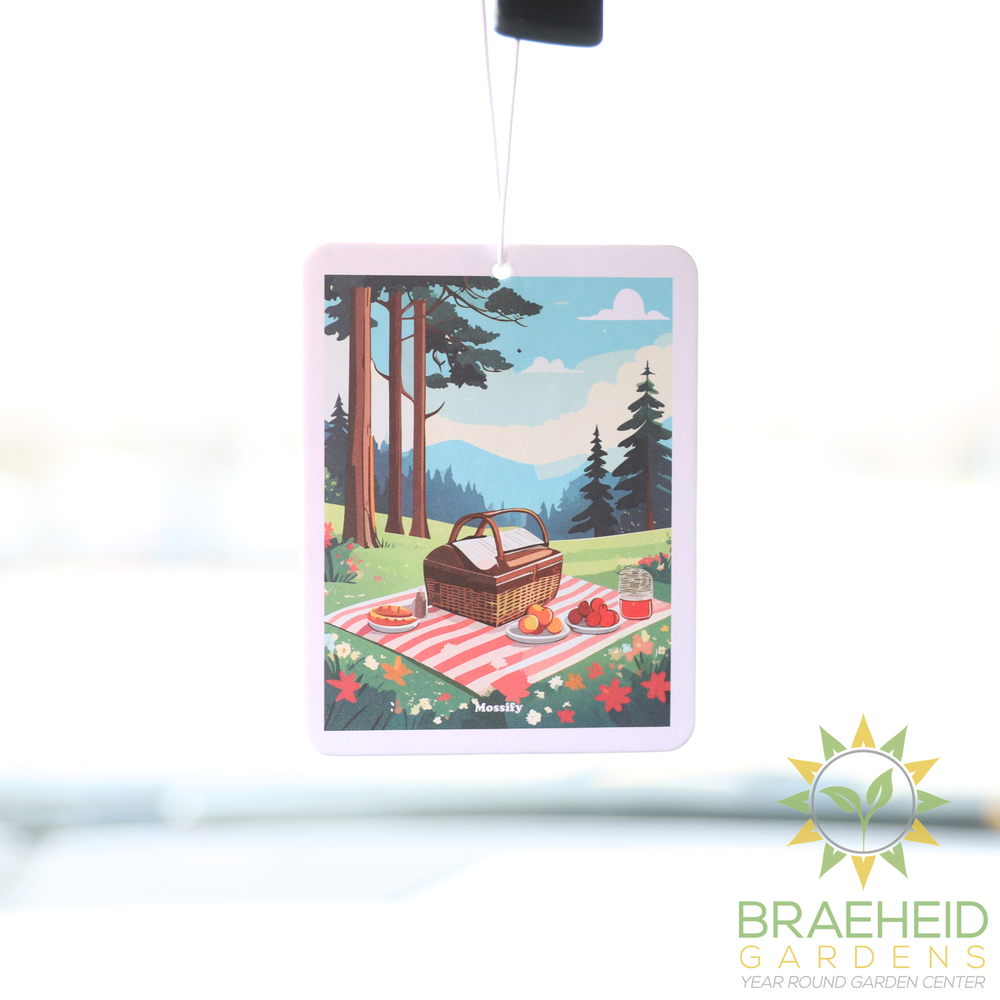 Mossify Air Fresheners