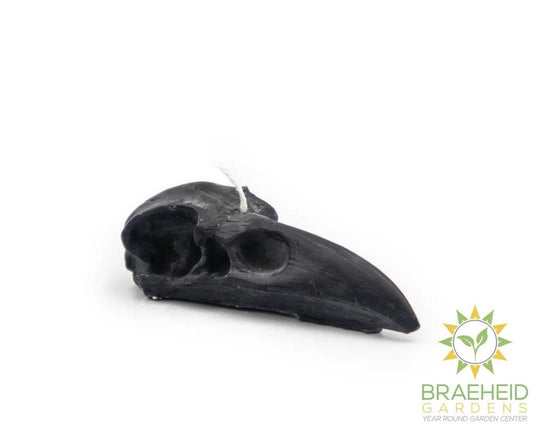 RAVEN SKULL | PILLAR CANDLE