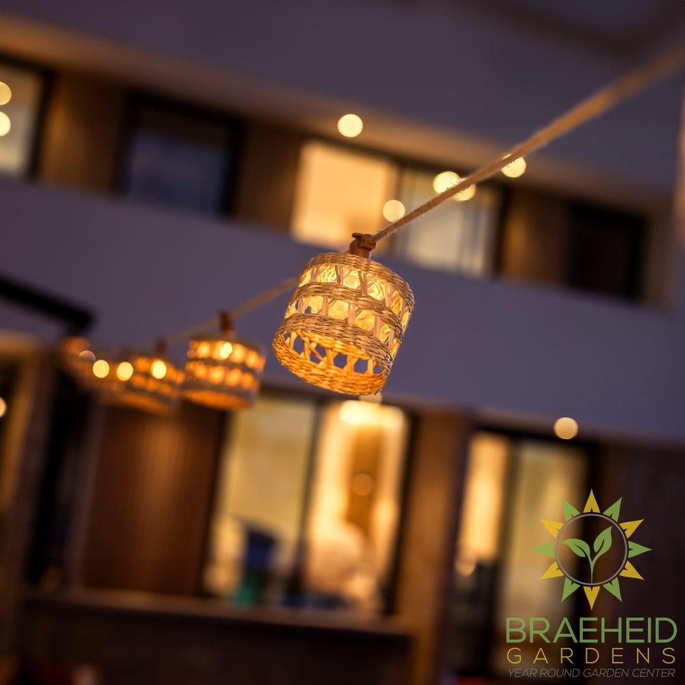 Alba<br> Solar-charged Garland