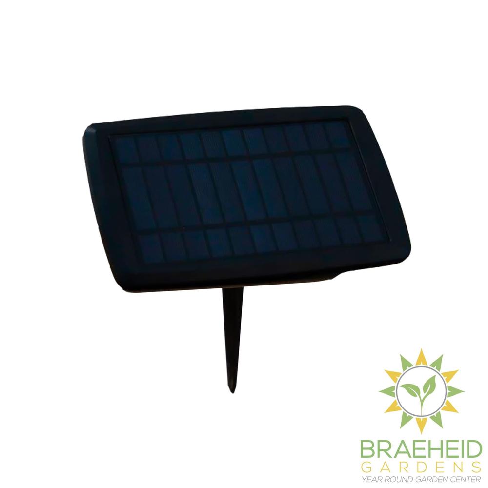 Allegra<br> Solar-charged Garland
