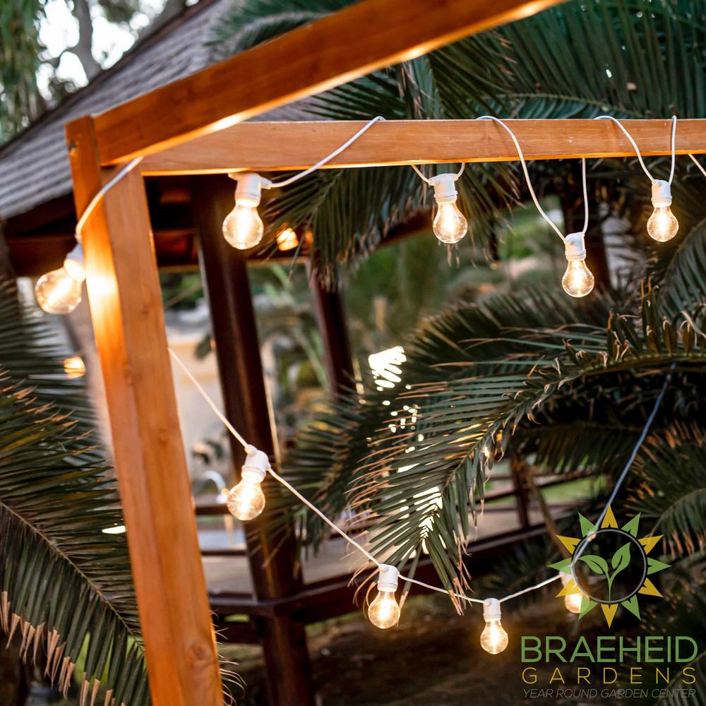 Allegra<br> Solar-charged Garland