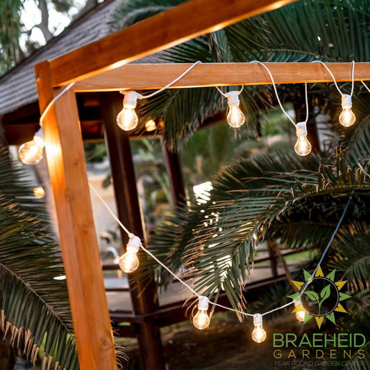 Allegra<br> Solar-charged Garland