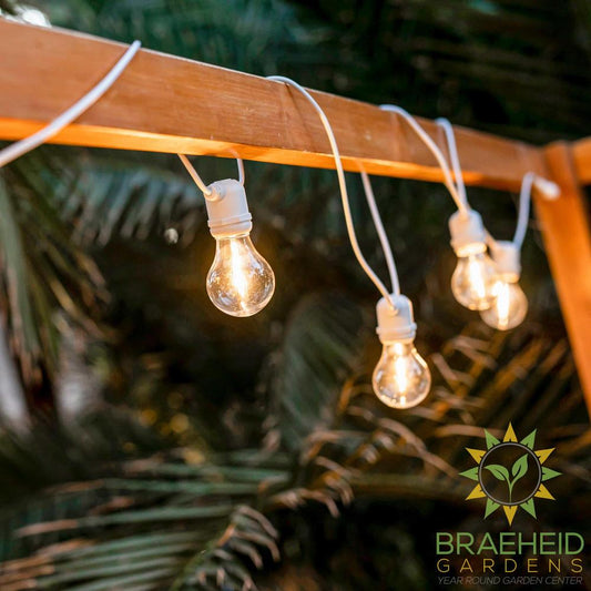 Allegra<br> Solar-charged Garland