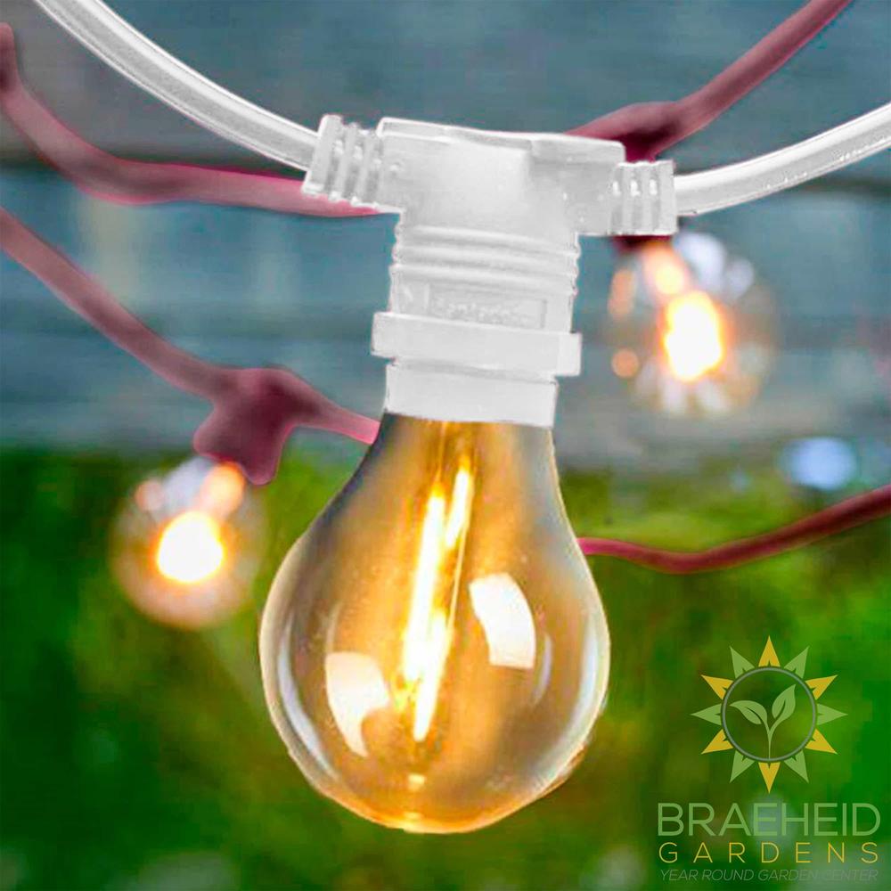 Allegra<br> Solar-charged Garland