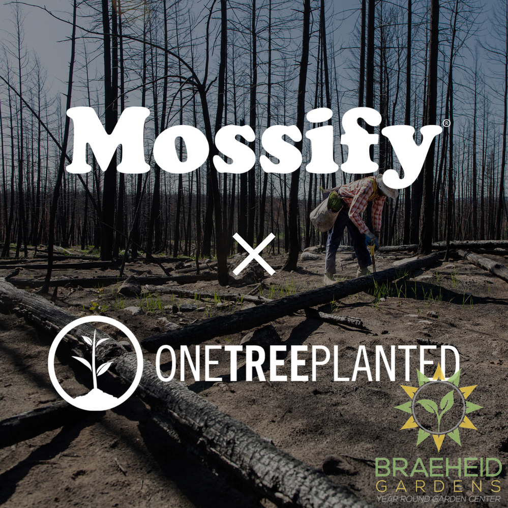 Donation to One Tree Planted
