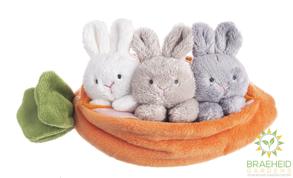 Carrot Learn & Grow (4 pc. set)
