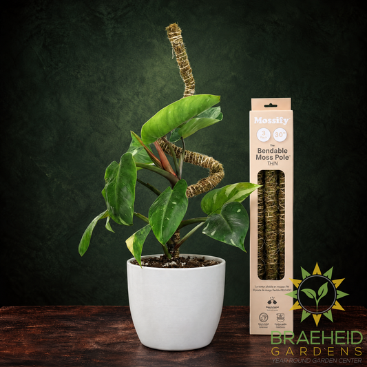 The Bendable Moss Pole™ THIN