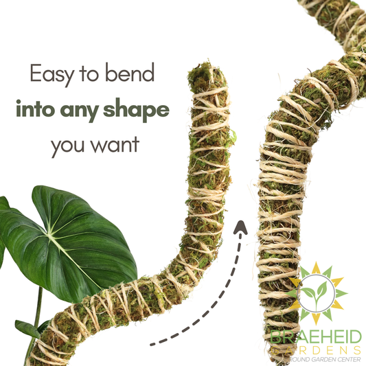 The Bendable Moss Pole™ 𝘛𝘏𝘐𝘕