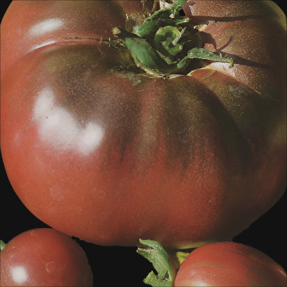 Black Russian Tomato