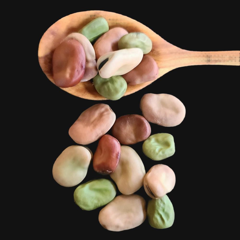 Broad Bean Mix
