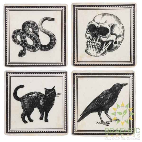 Gothic Halloween Coaster (4 pc. set)
