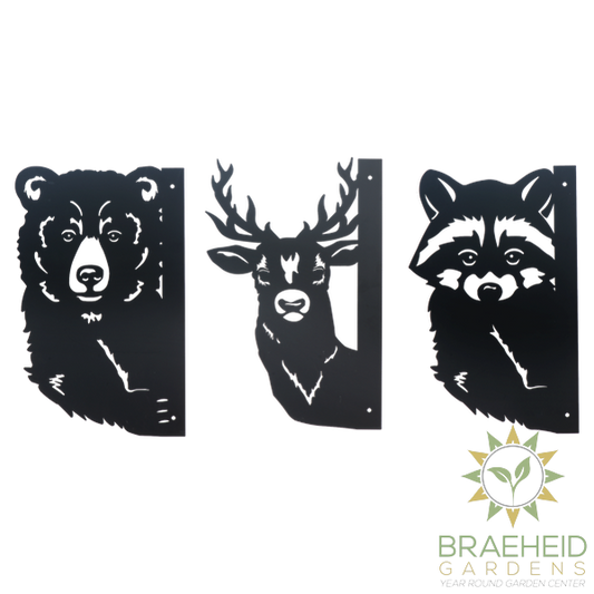 Laser Cut Peeking Deer, Bear & Racoon Wall Decor