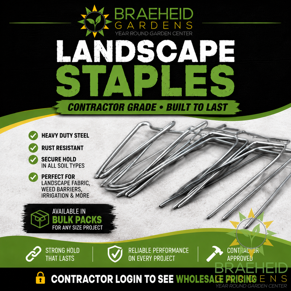 Box of 1,000 Landscape staples