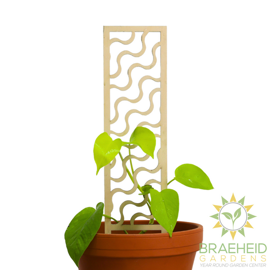 Copacabana Wooden Trellis