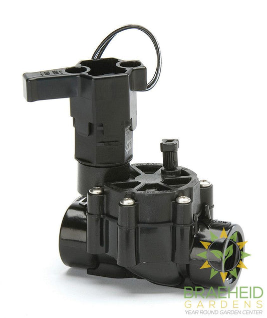 Rain Bird DV Electric 1" Valve