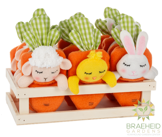 Cozy Carrot Easter Ornaments in Crate