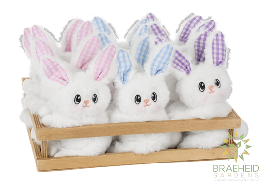 Funny Little Bunny Basket Buddies in Crate